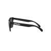 OAKLEY FROGSKINS FRAME-POLISHED BLACK LENS-PRIZM BLACK