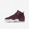 Air Jordan 12 Retro (GS) Shoe BORDEAUX/SAIL-METALLIC SILVER