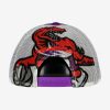 MITCHELL & NESS TORONTO RAPTORS OFF THE BACKBOARD TRUCKER HWC Purple / White