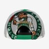 MITCHELL & NESS BOSTON CELTICS OFF THE BACKBOARD TRUCKER Green / White