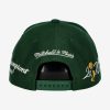 MITCHELL & NESS MILWAUKEE BUCKS CHAMP WRAP PRO SNAPBACK Green