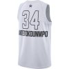 NBA X Nike ASW M NBA Swingman Jersey WEST 2018 Giannis Antetokounmpo WHITE