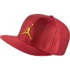 Jordan Jumpman Elephant Print Ingot Pro Hat GYM RED/BLACK/GOLD