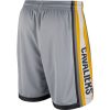 NBA X Nike Cleveland Cavaliers M NK SWGMN SHORT CE 17  FLT SILVER/ANTHRACITE