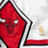 MITCHELL & NESS CHICAGO BULLS AUTHENTIC SHORT  WHITE