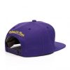 Mitchell & Ness Silicon Grass Snapback Los Angeles Lakers PURPLE