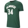 NBA X NIKE GIANNIS ANTETOKOUNMPO MILWAUKEE BUCKS DRI-FIT TEE FIR/ANTETOKOUNMPO G