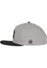 CAYLER & SONS C&S CL DEATH ROSE CAP HEATHER GREY/MC