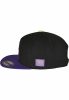 CAYLER & SONS WL LA FC CAP BLACK/PURPLE