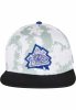 CAYLER & SONS WL 8BIT EYE CAP MINT/MC