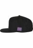 CAYLER & SONS C&S WL CRAZY BUT TRUE CAP BLACK/MC