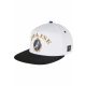 CAYLER & SONS PRAISE THE CHRONIC CAP WHITE/MC