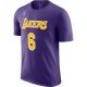 JORDAN X NBA LEBRON JAMES LOS ANGELES LAKERS ESSENTIALS STATEMENT TEE COURT PURPLE/LEBRON JAMES/LEBRON JAMES