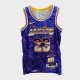 NIKE SELECT SERIES LEBRON JAMES MVP JERSEY FIELD PURPLE/AMARILLO/JAMES LEBRON