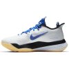 NIKE AIR ZOOM BB NXT WHITE/HYPER ROYAL-BLACK-MELON TINT