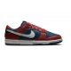 Nike Dunk Low Retro Canyon Rust/Summit White-Valerian Blue 39