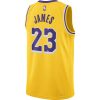 NIKE NBA LOS ANGELES LAKERS LEBRON JAMES BOYS ICON SWINGMAN JERSEY AMARILLO