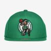 MITCHELL & NESS BOSTON CELTICS TEAM GROUND 2.0 SNAPBACK Green