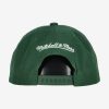 MITCHELL & NESS MILWAUKEE BUCKS TEAM GROUND 2.0 SNAPBACK Green