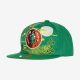 MITCHELL & NESS BOSTON CELTICS AH SNAPBACK HWC Green