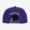 MITCHELL & NESS LOS ANGELES LAKERS AH SNAPBACK HWC Purple