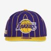 MITCHELL & NESS LOS ANGELES LAKERS TEAM PIN SNAPBACK Purple