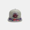 MITCHELL & NESS NBA TORONTO RAPTORS MUNCH TIME SNAPBACK HWC GREY