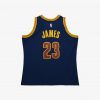 Mitchell & Ness NBA Blue Alternate Jersey Cavaliers 2015 Lebron James Astros Blue