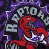 Mitchell & Ness shorts Toronto Raptors Jumbotron 2.0 Submimated BLACK/PURPLE