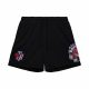 MITCHELL & NESS NBA POSTGAME FLEECE SHORTS VINTAGE LOGO TORONTO RAPTORS BLACK M