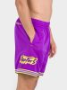 MITCHELL & NESS NBA FASHION NEON MESH SHORTS VINTAGE LOGO Toronto Raptors Purple L