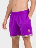 MITCHELL & NESS NBA FASHION NEON MESH SHORTS VINTAGE LOGO Toronto Raptors Purple L