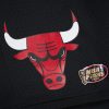 Mitchell & Ness NBA Gameday Mesh 7In Shorts Vintage Logo Chicago Bulls Black