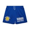 Mitchell & Ness NBA Gameday Mesh 7In Shorts Vintage Logo Golden State Warriors Royal