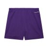 Mitchell & Ness NBA Gameday Mesh 7In Shorts Vintage Logo Los Angeles Lakers Purple XXL