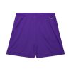 Mitchell & Ness NBA Gameday Mesh 7In Shorts Vintage Logo Toronto Raptors Purple