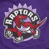 Mitchell & Ness NBA Gameday Mesh 7In Shorts Vintage Logo Toronto Raptors Purple L