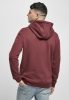 STARTER STARTER THE CLASSIC LOGO HOODY OXBLOOD