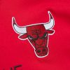 Mitchell & Ness NBA Premium Nickname Ss Tee Vintage Logo Chicago Bulls  Dennis Rodman Red 4XL