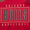 MITCHELL & NESS NBA TEAM OG 2.0 PREMIUM SS TEE VINTAGE LOGO CHICAGO BULLS SCARLET M