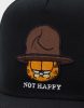 Cayler & Sons WL Not Happy Garfield Cap black/mc