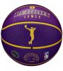 WILSON NBA PLAYER ICON OUTDOOR BSKT LEBRON