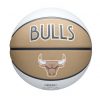 Wilson 2024 NBA Team City Edition Chicago Bulls Colorful